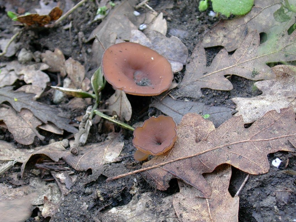 1968 Aprile vecchio ritrovamento